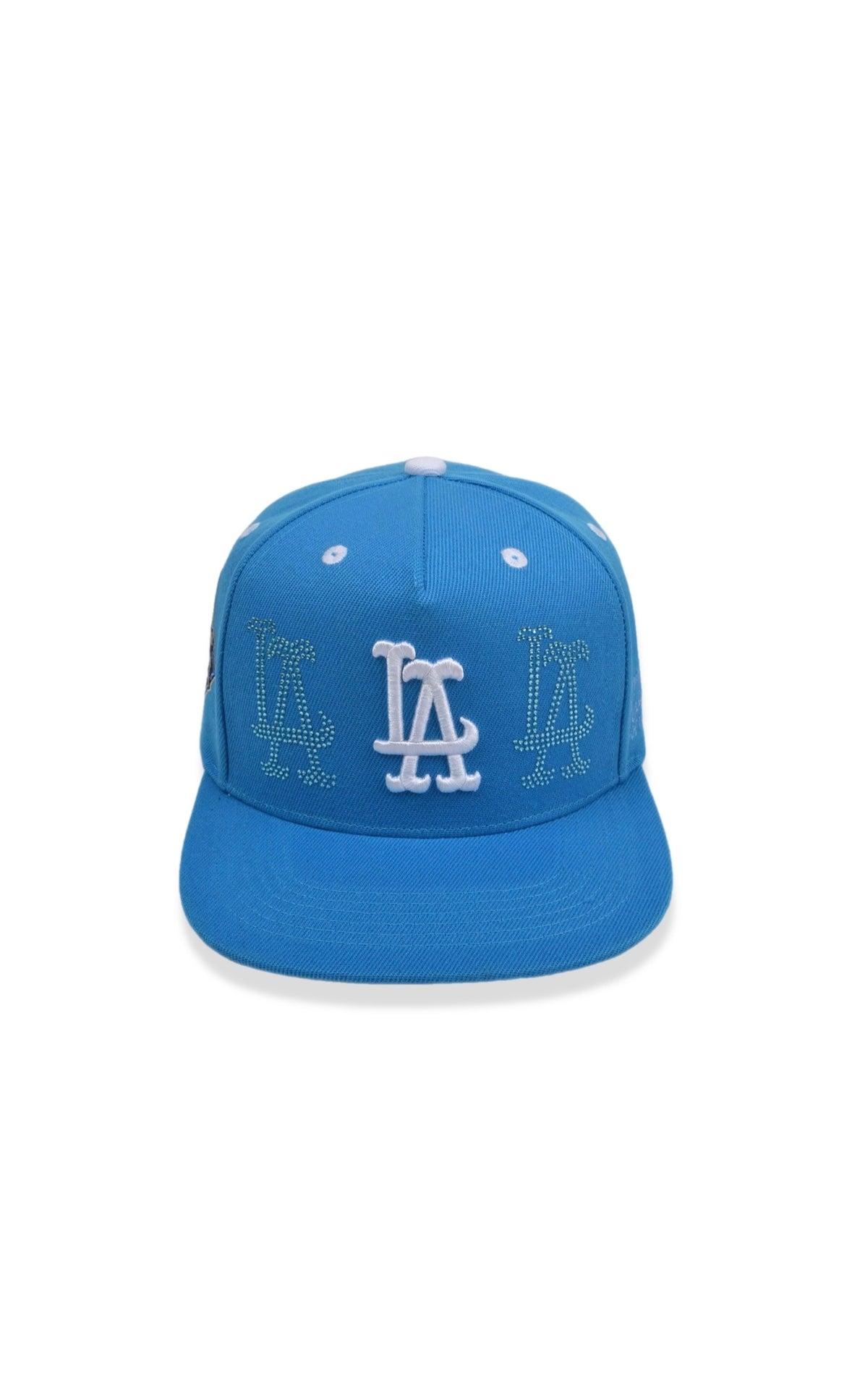 FERN LA “ W$ “ Teal SnapBack – Fern LA